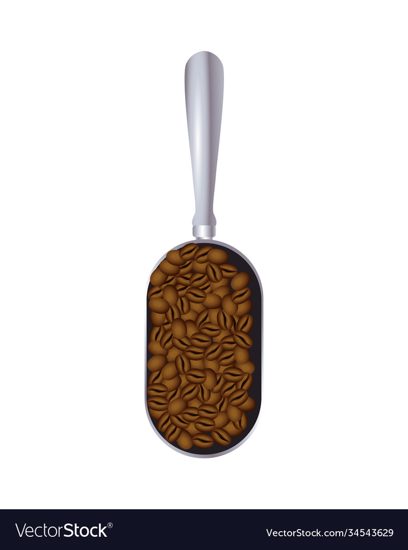 Coffee grains in spoon icon