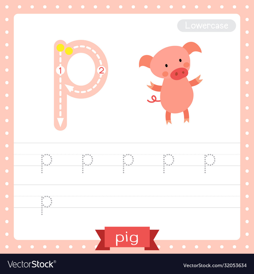 Letter p lowercase tracing practice worksheet Vector Image