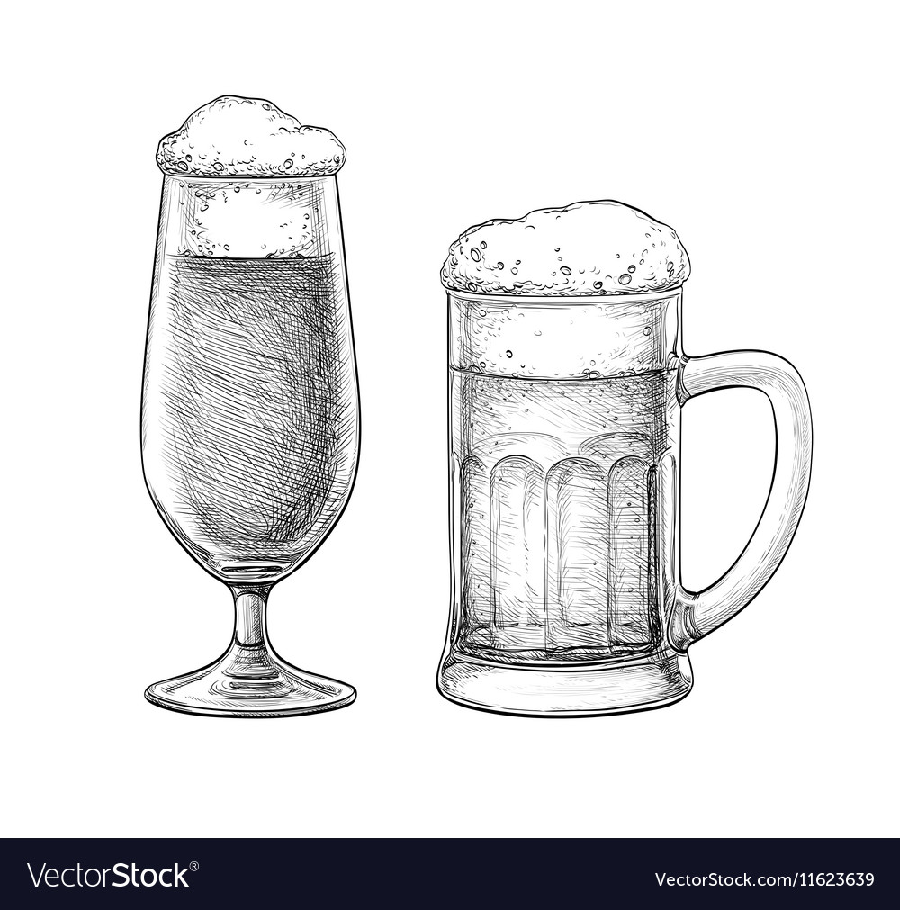 Beer glass and beer mug Royalty Free Vector Image