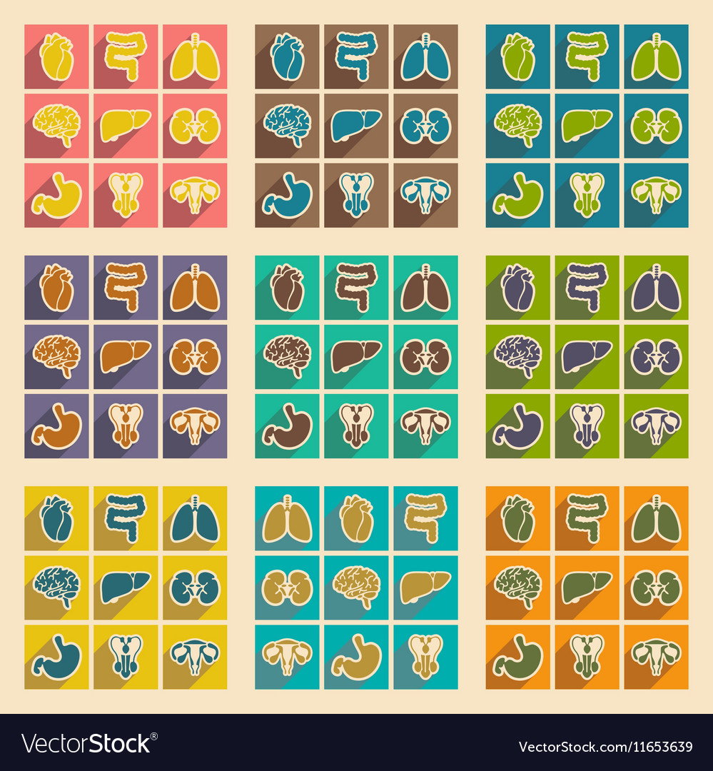 Icons of assembly internal organs in flat style