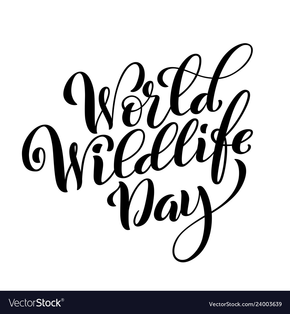 World wildlife day march 3 template for poster Vector Image