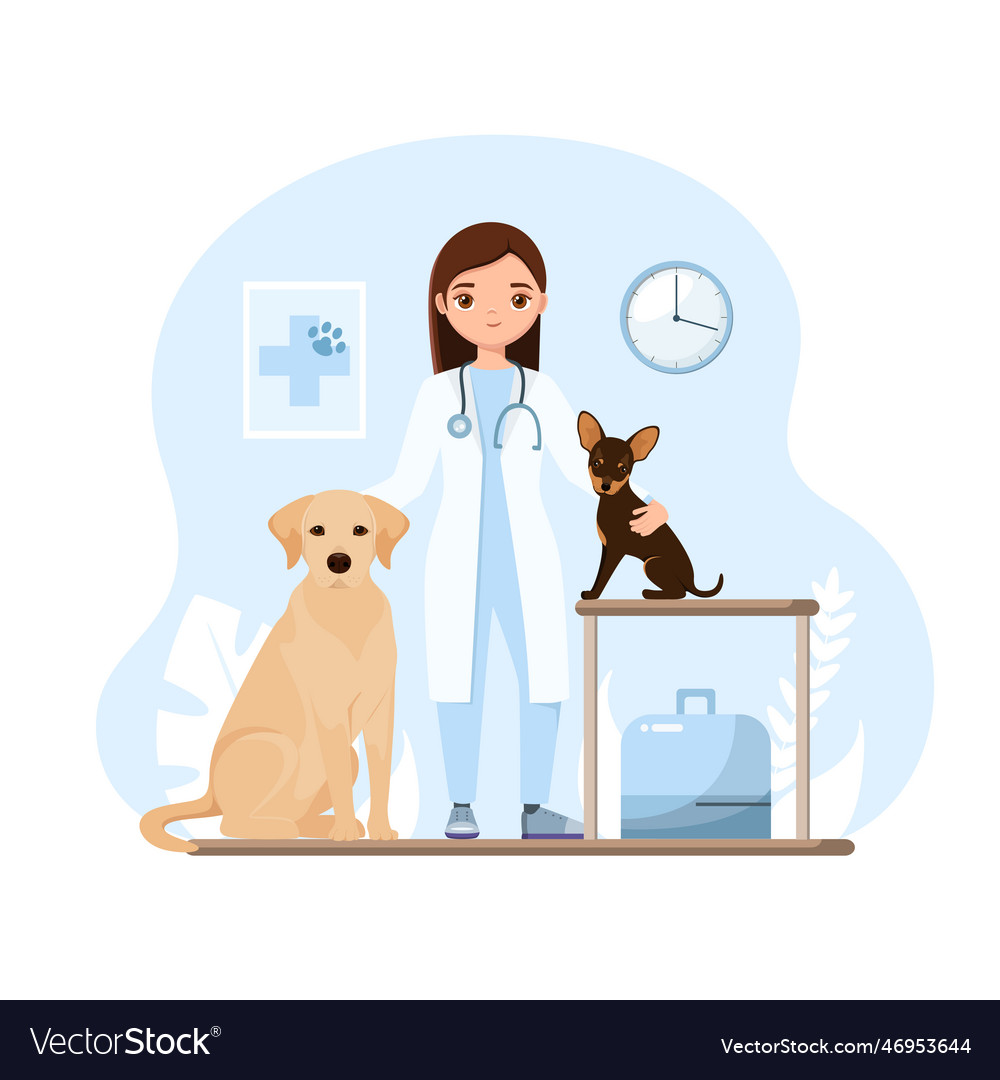 A veterinarian with dogs Royalty Free Vector Image