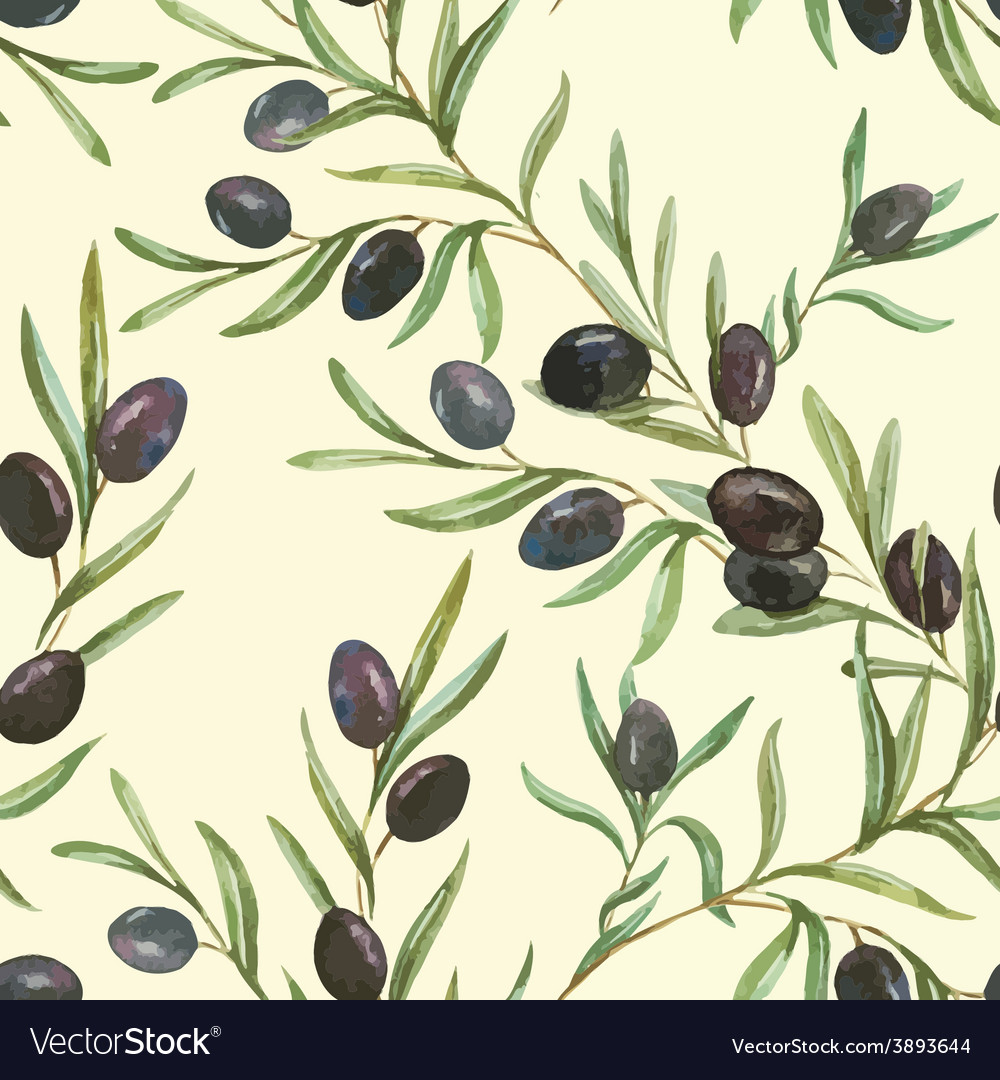 Olives Royalty Free Vector Image - VectorStock