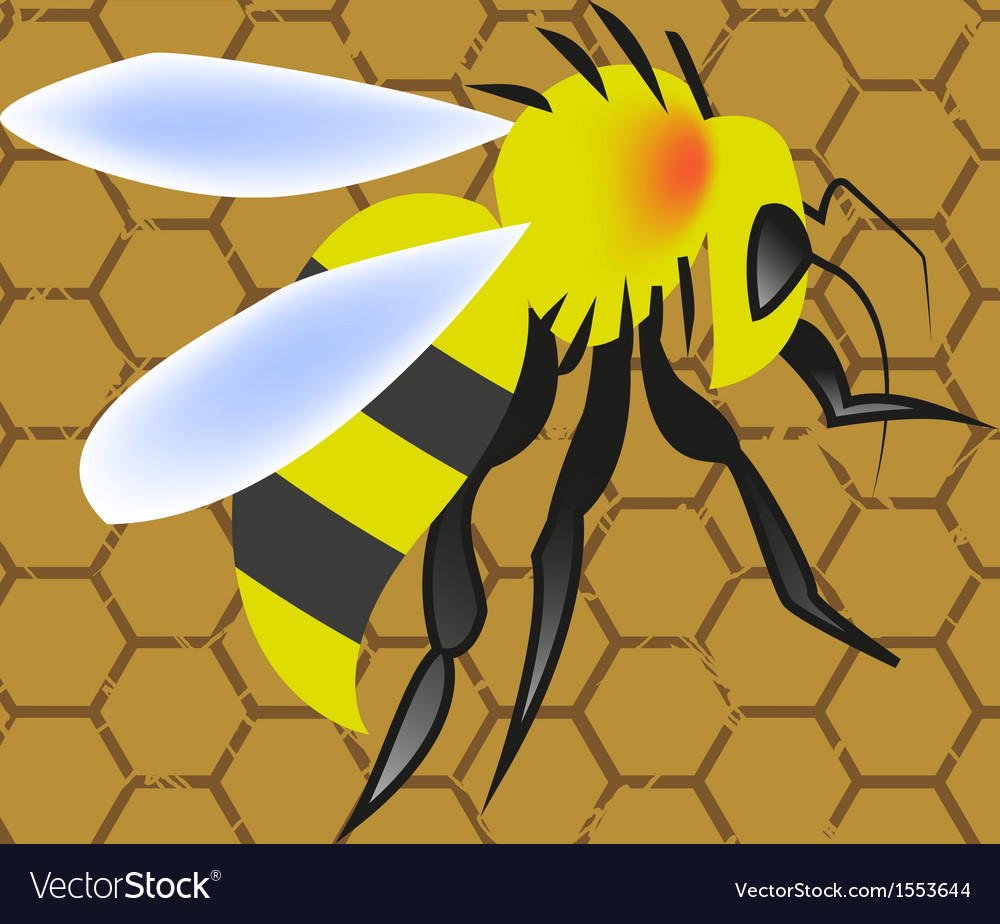 Sweet honeycomb and wasp stinging Royalty Free Vector Image