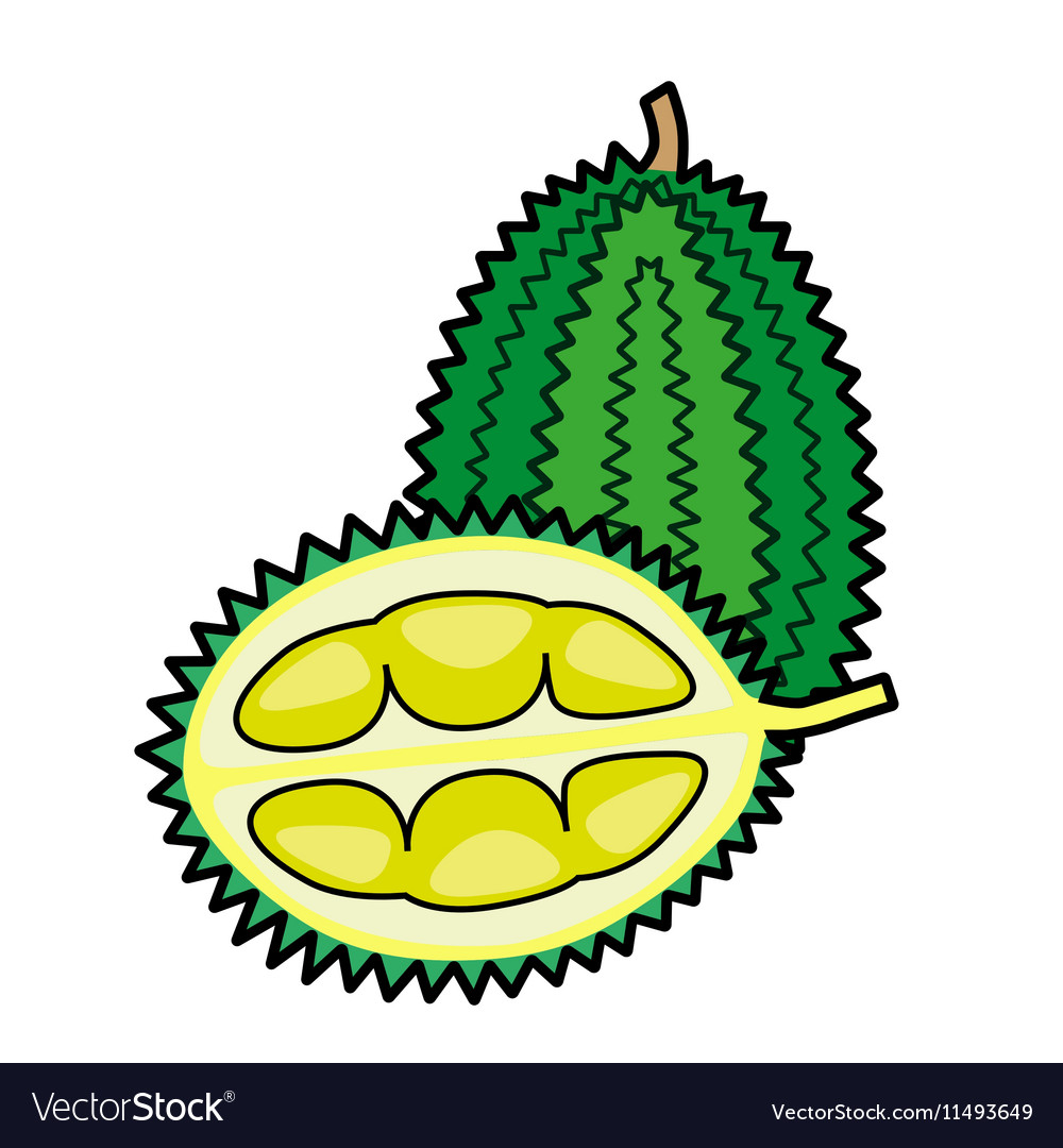 Durian isoliert auf einem weißen Hintergrund