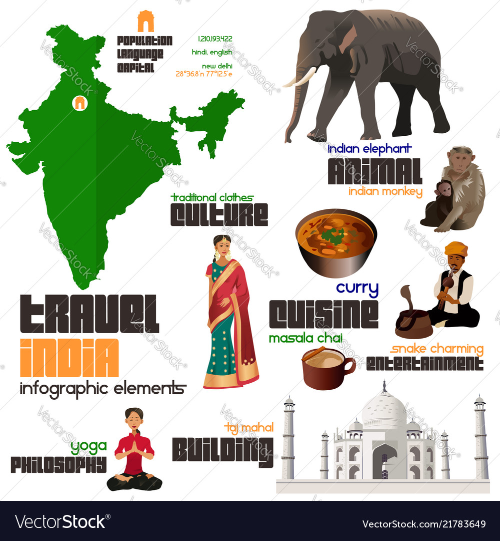 Infographic elements for traveling to india Vector Image