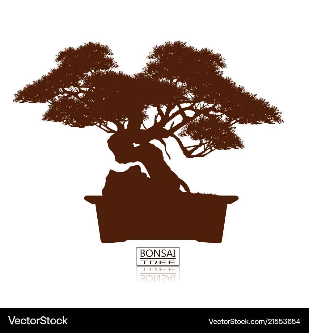 Bonsai tree japanese and chinese trees Royalty Free Vector