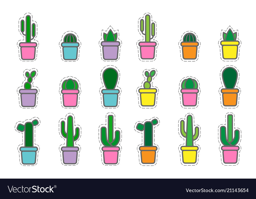 Set of colored icons cactuses and succulent