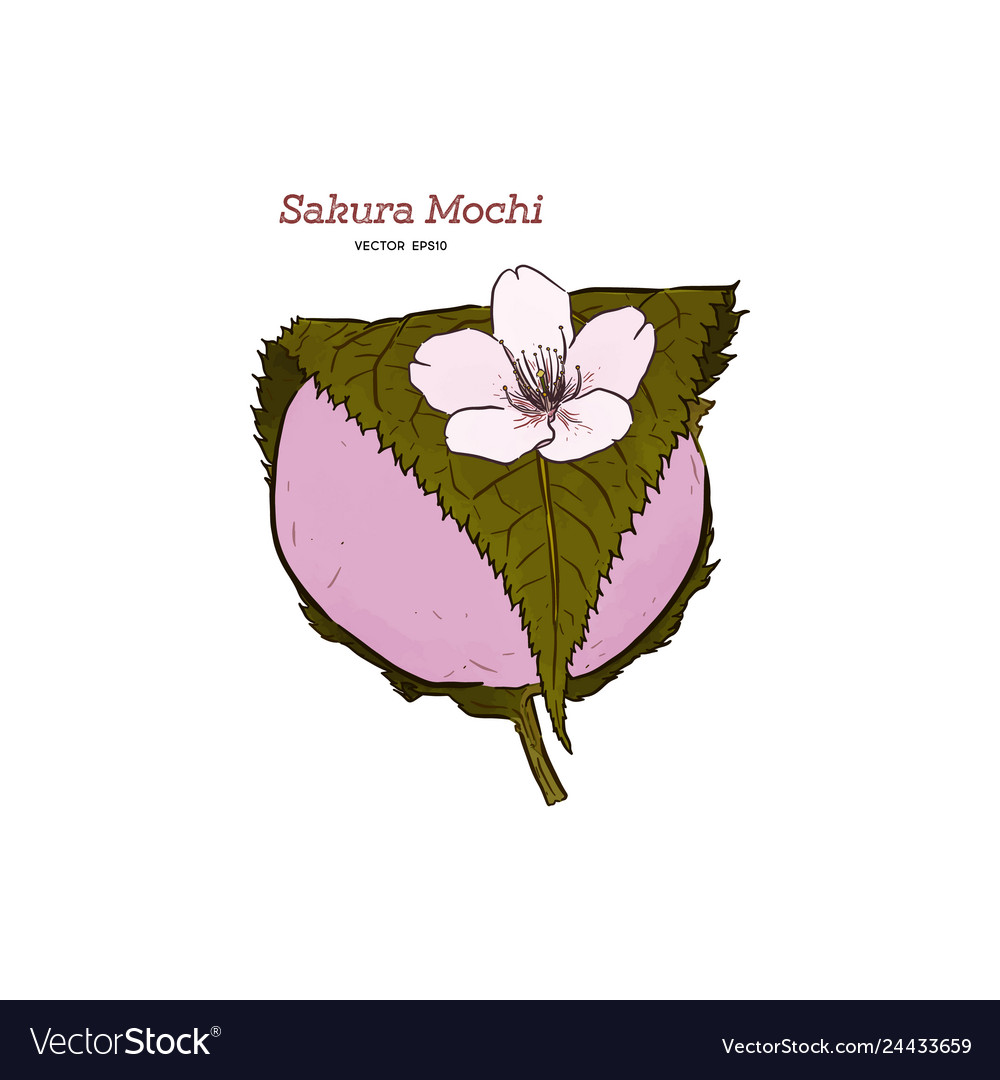 Kansai sakura mochi