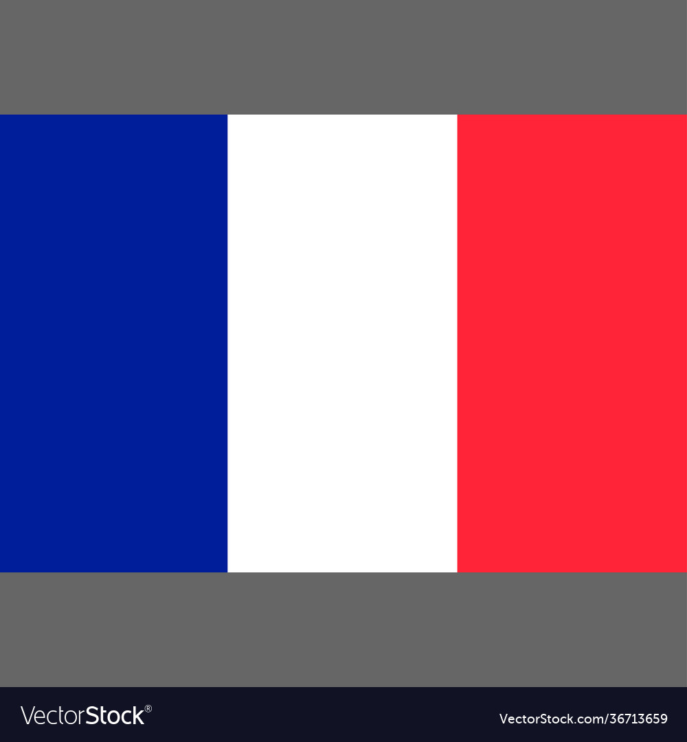 State flag france Royalty Free Vector Image - VectorStock