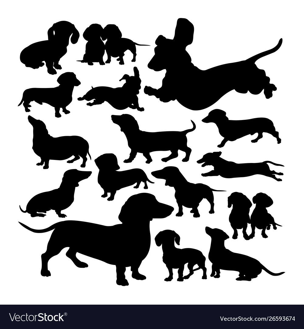 Dachshund dog animal silhouettes Royalty Free Vector Image