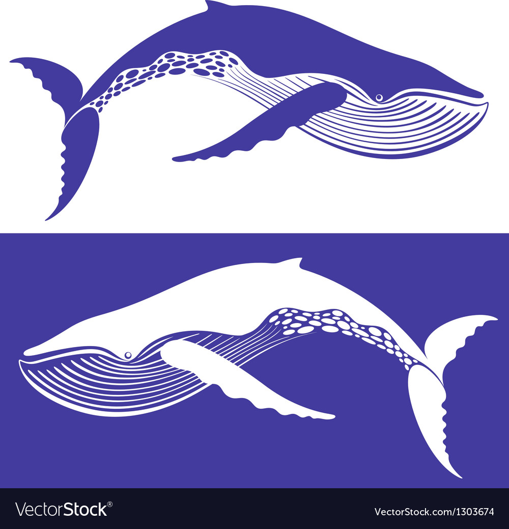 Whale Royalty Free Vector Image - VectorStock