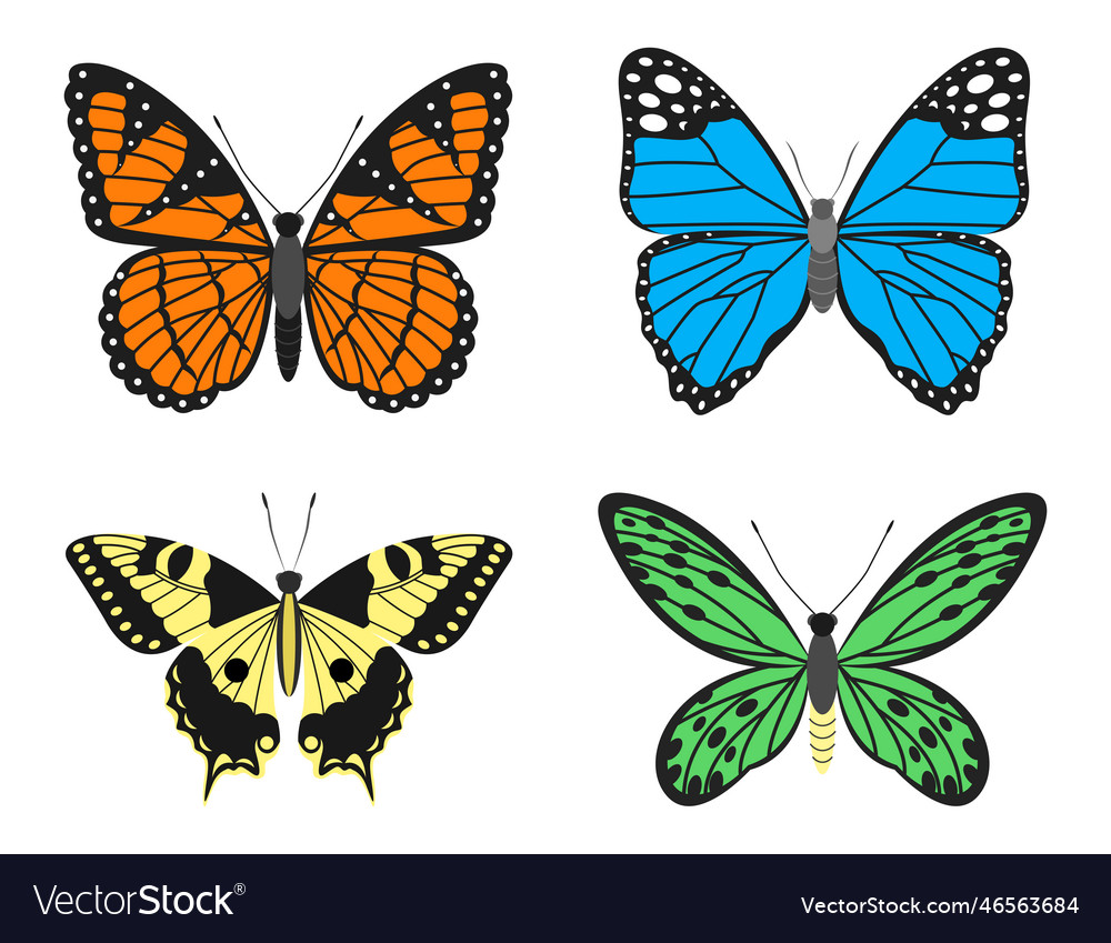 Butterflies Royalty Free Vector Image - VectorStock