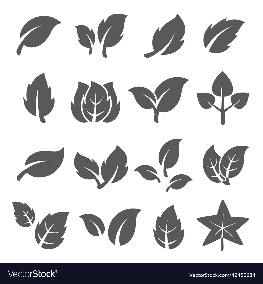Leaf icons set on white background vector image Leaf icons set on white background