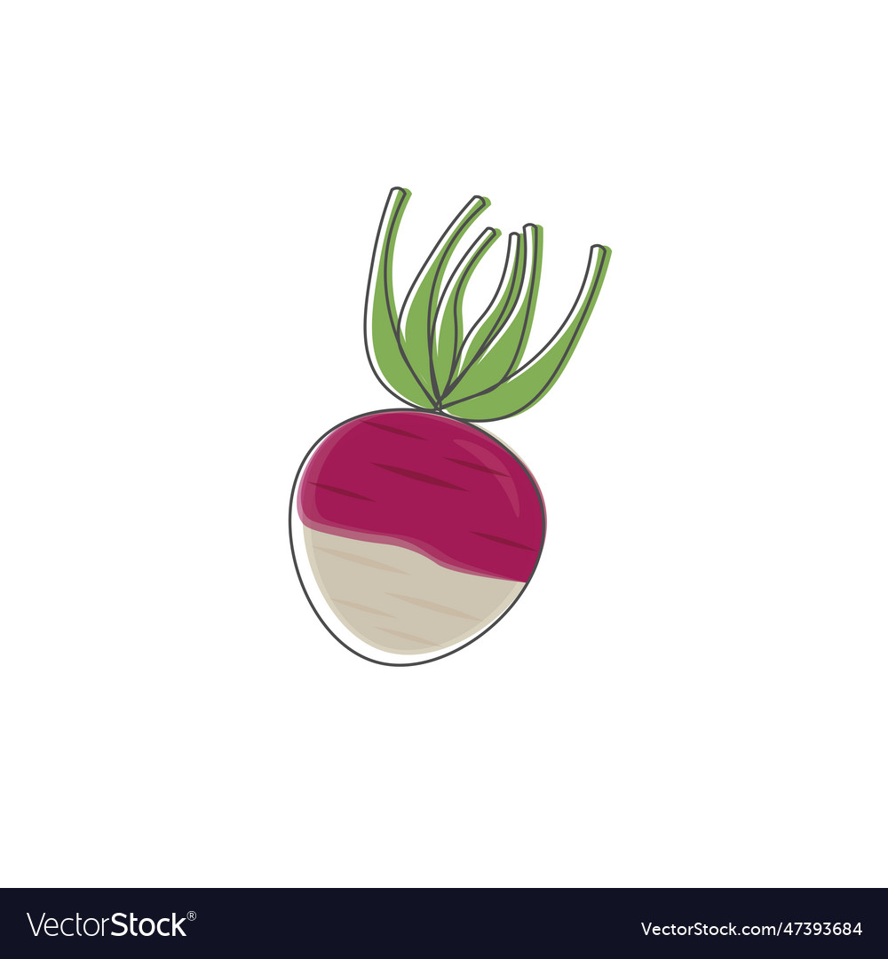 Simple line art turnip root vegetables