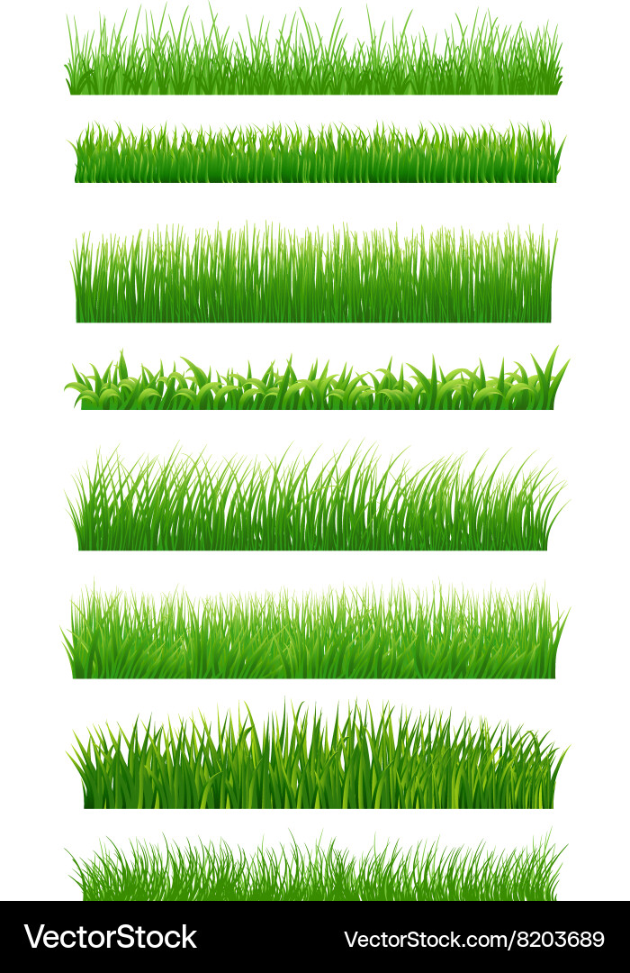 Green grass borders Royalty Free Vector Image - VectorStock
