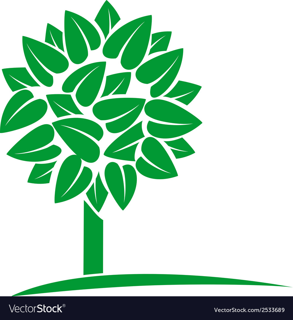 Green tree with leaves Royalty Free Vector Image