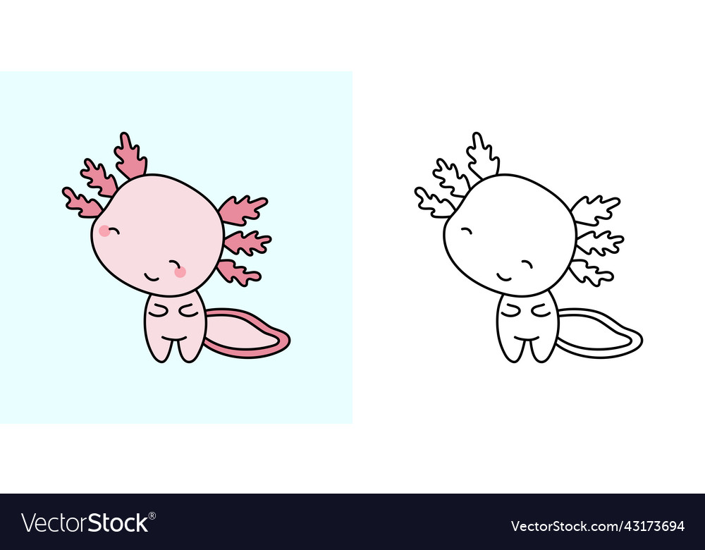 Cute axolotl clipart für Färbung Seite