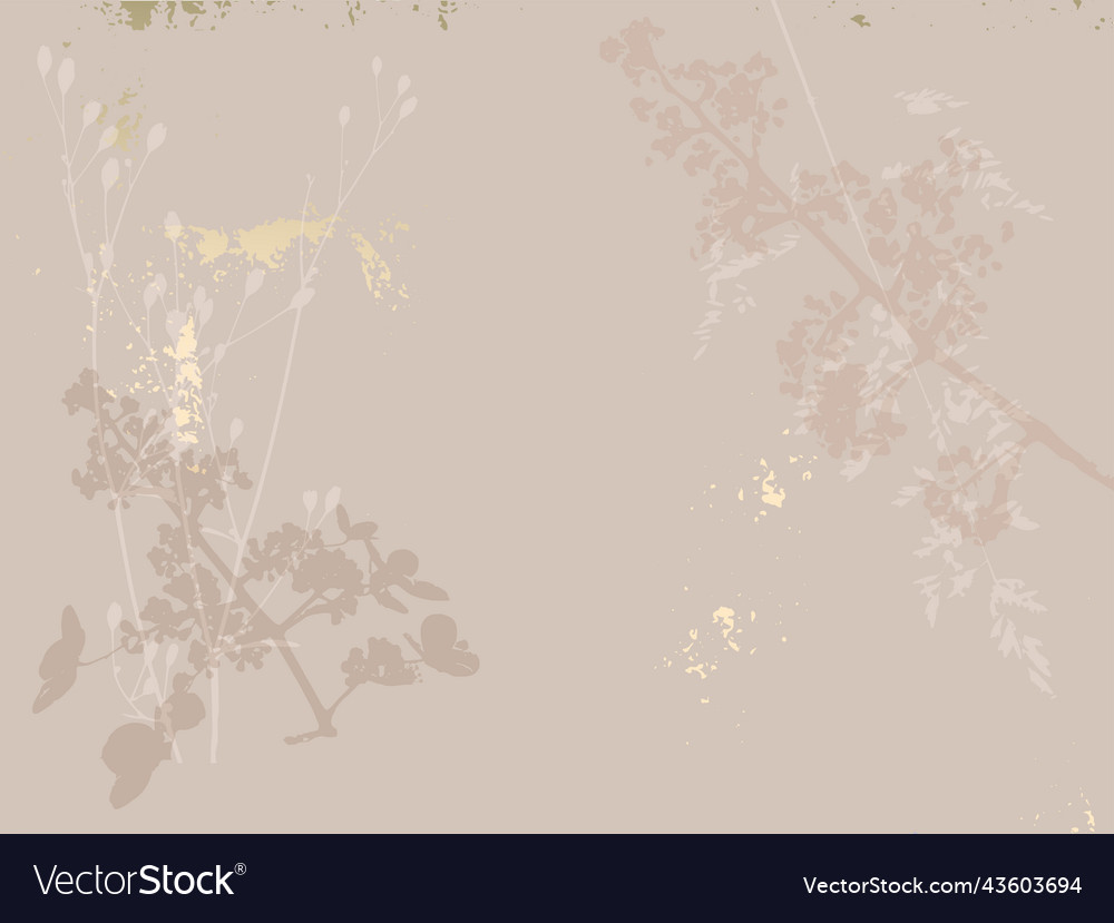Floral chic background with delicate flowers vector image Floral chic background with delicate flowers