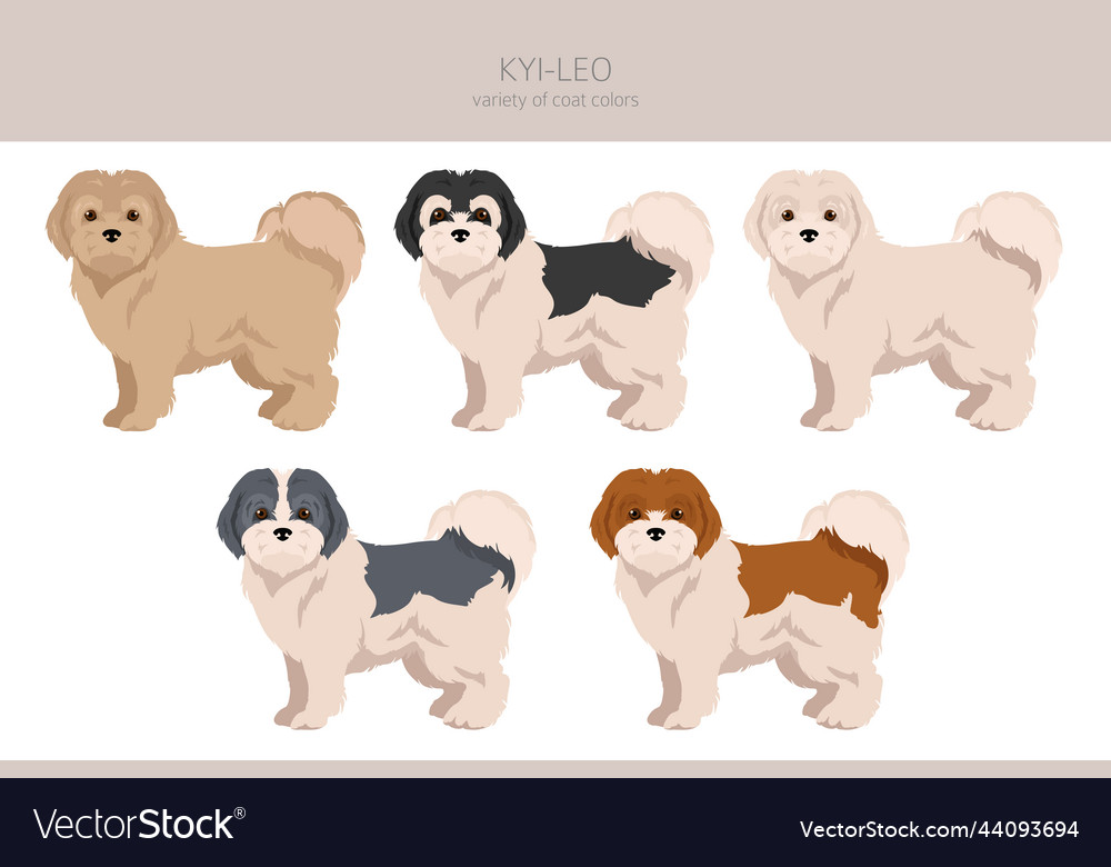 Kyi-leo Hund Clipart verschiedene Mantelfarben Set