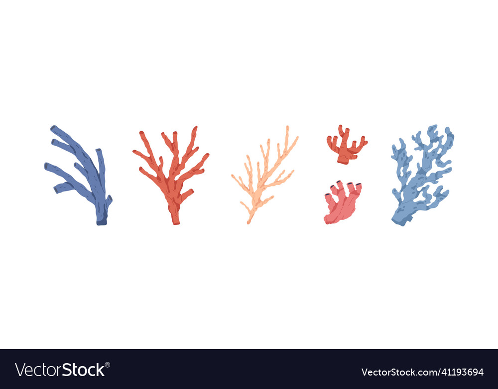 Sea and ocean corals set marine underwater plants