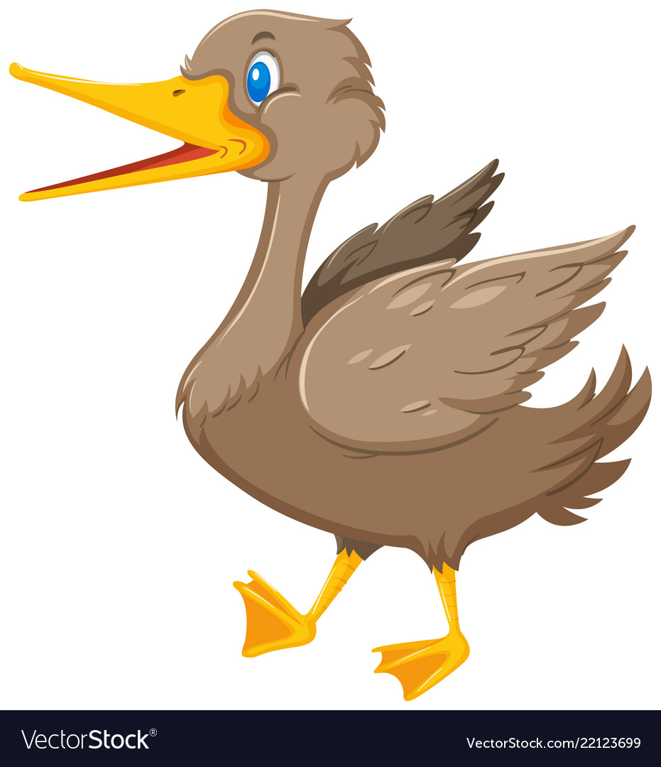 Happy duck white background Royalty Free Vector Image