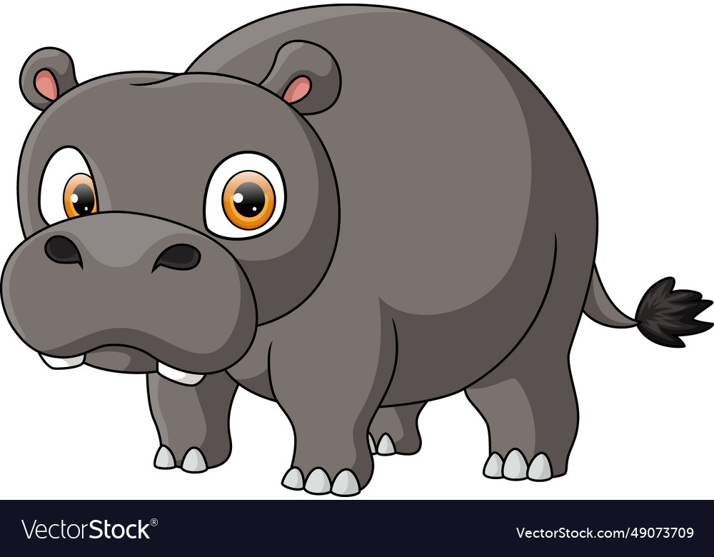 Cute hippo cartoon on white background Royalty Free Vector