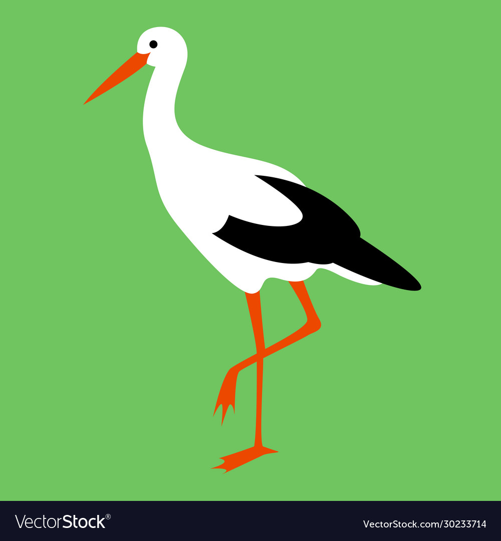 Stork Walking Flat Style Profile Royalty Free Vector Image