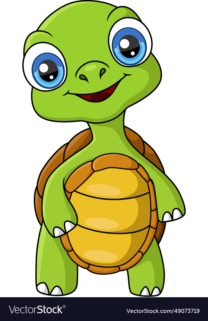 Cute turtle cartoon posing on white background Vector Image