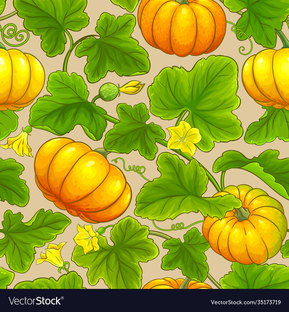 Pumpkin Pattern Royalty Free Vector Image VectorStock pumpkin-pattern-royalty-free-vector-image-vectorstock