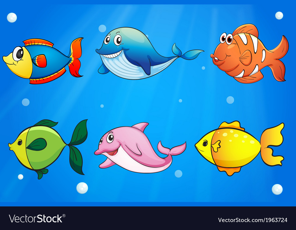 six fish