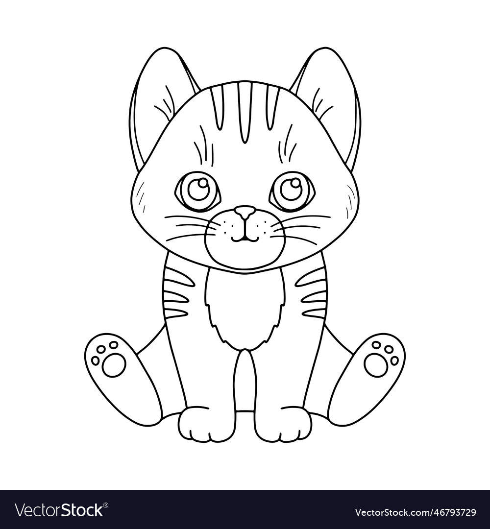 Line cute sitting cat outline graphic