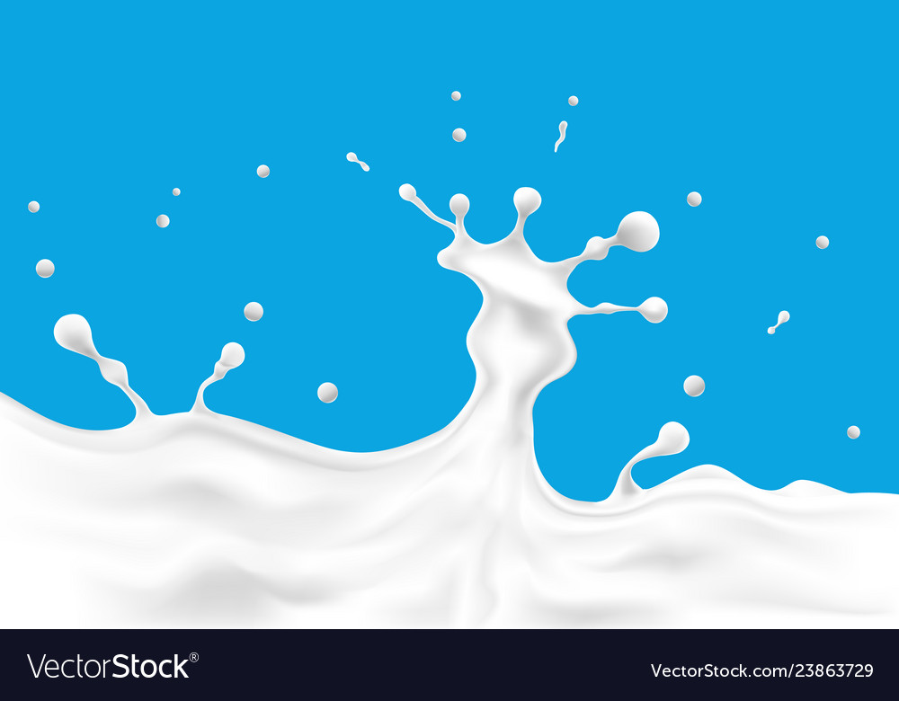 Milk splashes Royalty Free Vector Image - VectorStock