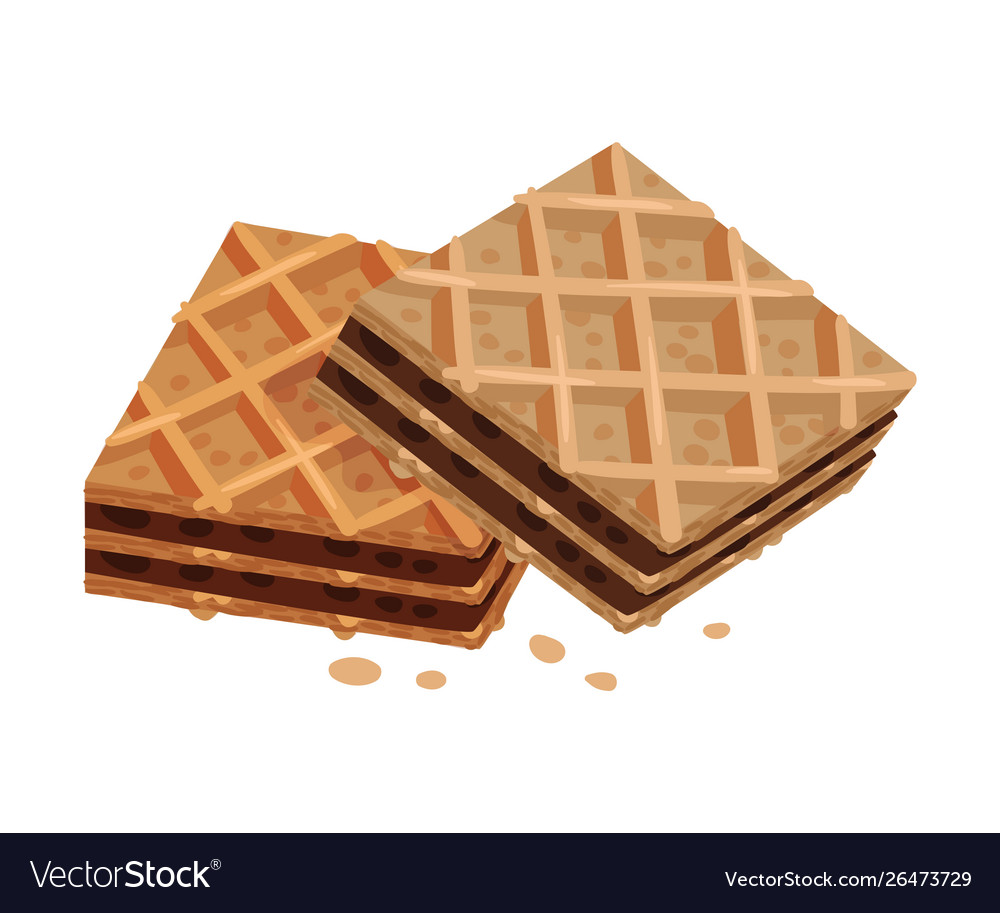 Two layered chocolate waffles Royalty Free Vector Image