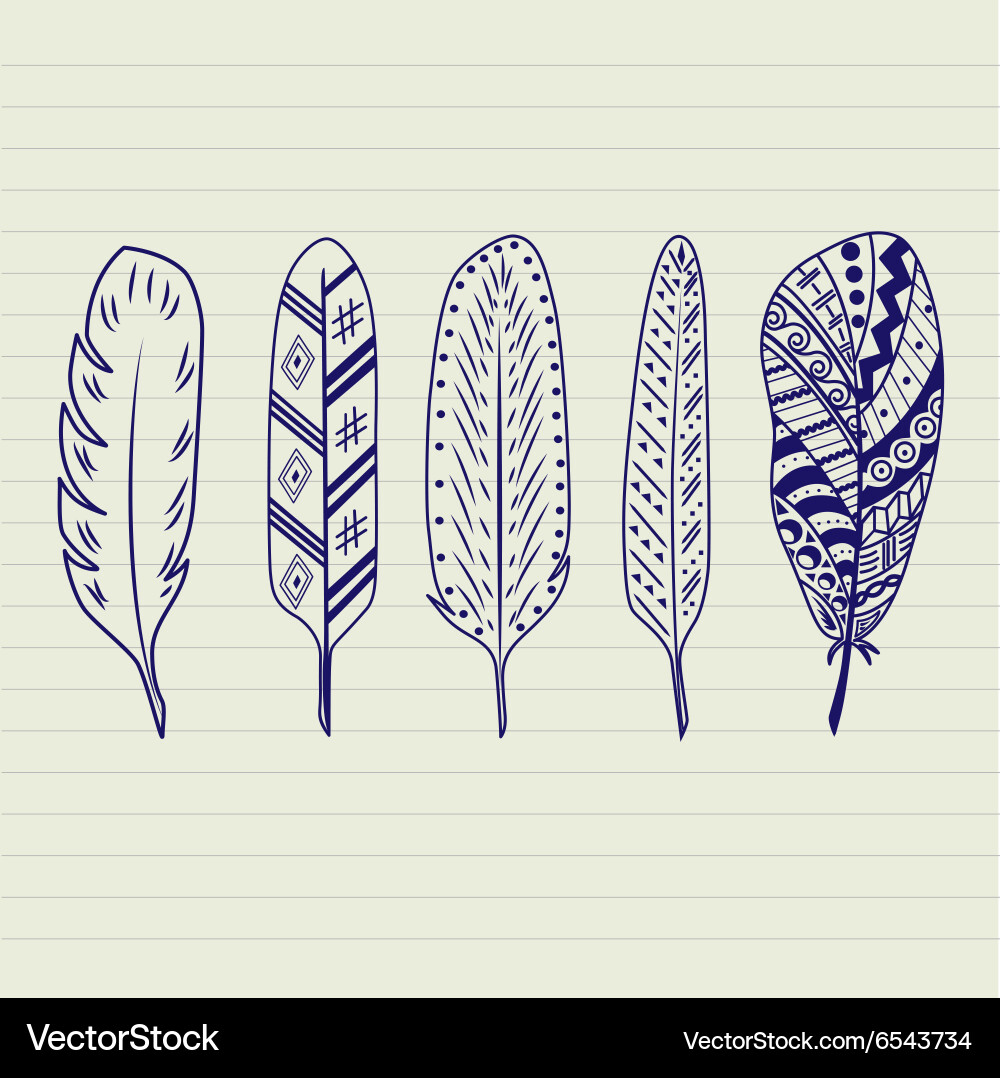 Feathers set Royalty Free Vector Image - VectorStock