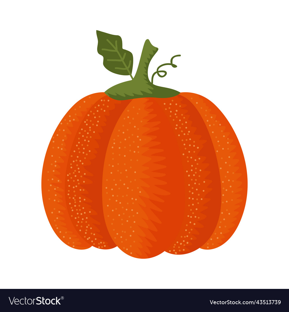 Autumn season pumpkin Royalty Free Vector Image