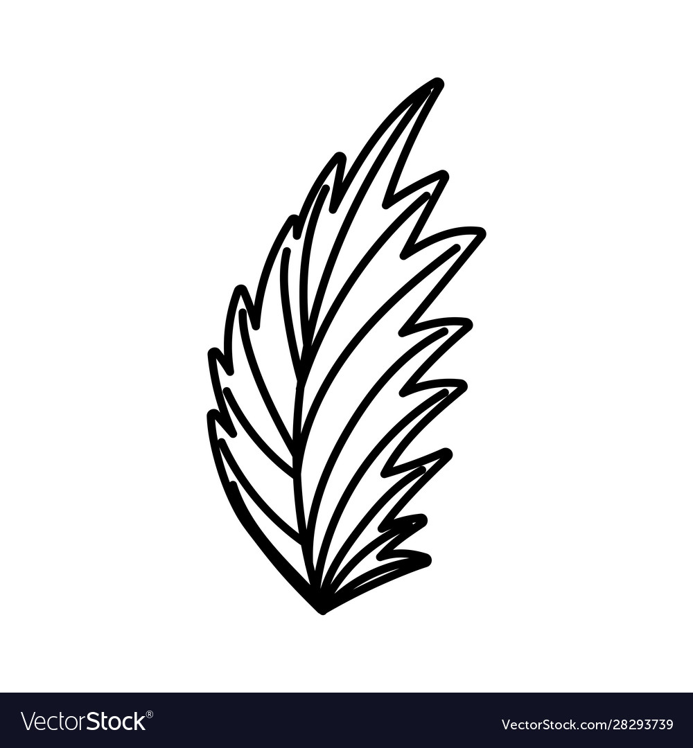 Palm leaf foliage nature decoration icon line