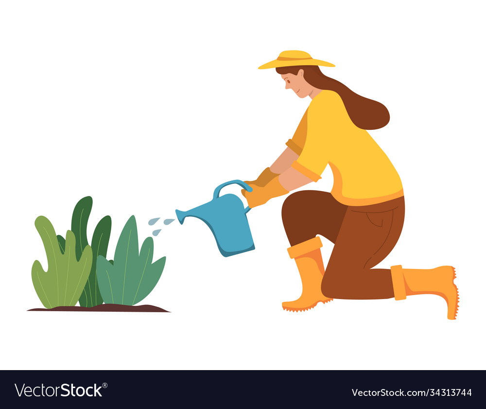 Woman Waters Plants From A Watering Can Royalty Free Vector