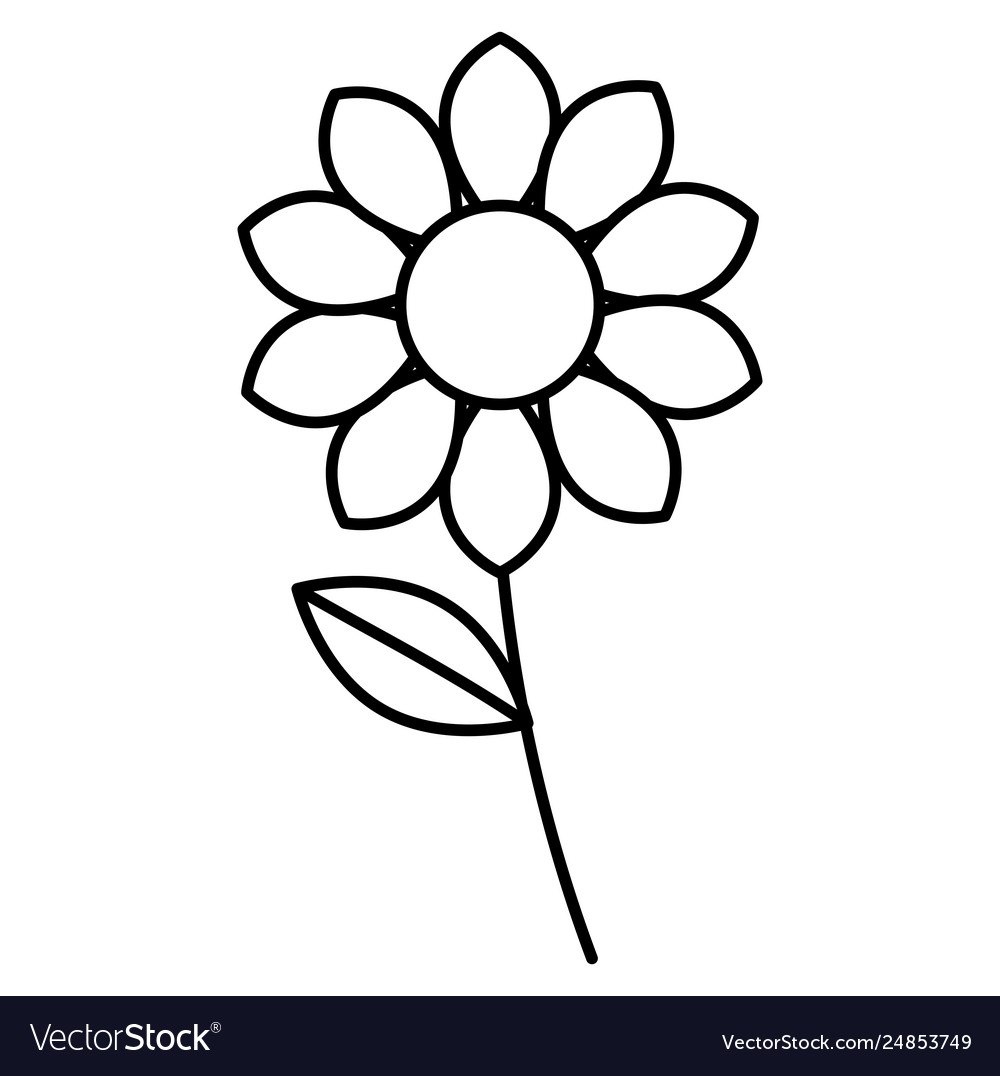 Beautiful flower drawing monochrome Royalty Free Vector