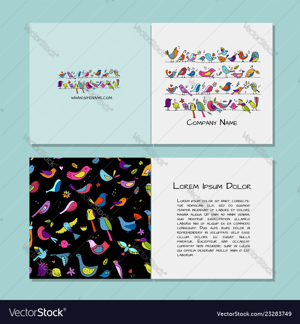 Greeting cards design funny birds background