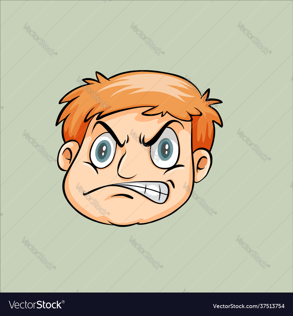 Head boy expression design Royalty Free Vector Image