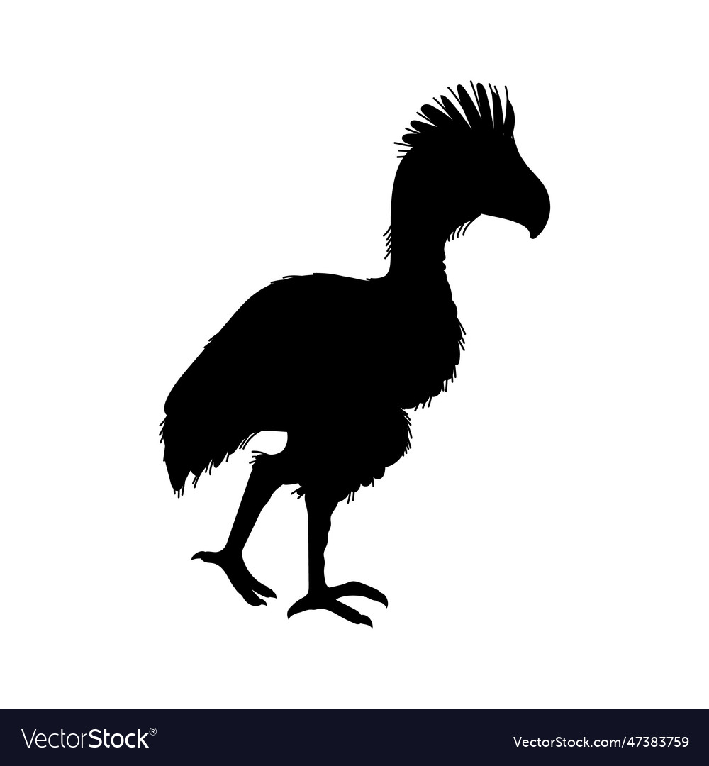 Fororakos flightless terror bird black silhouette