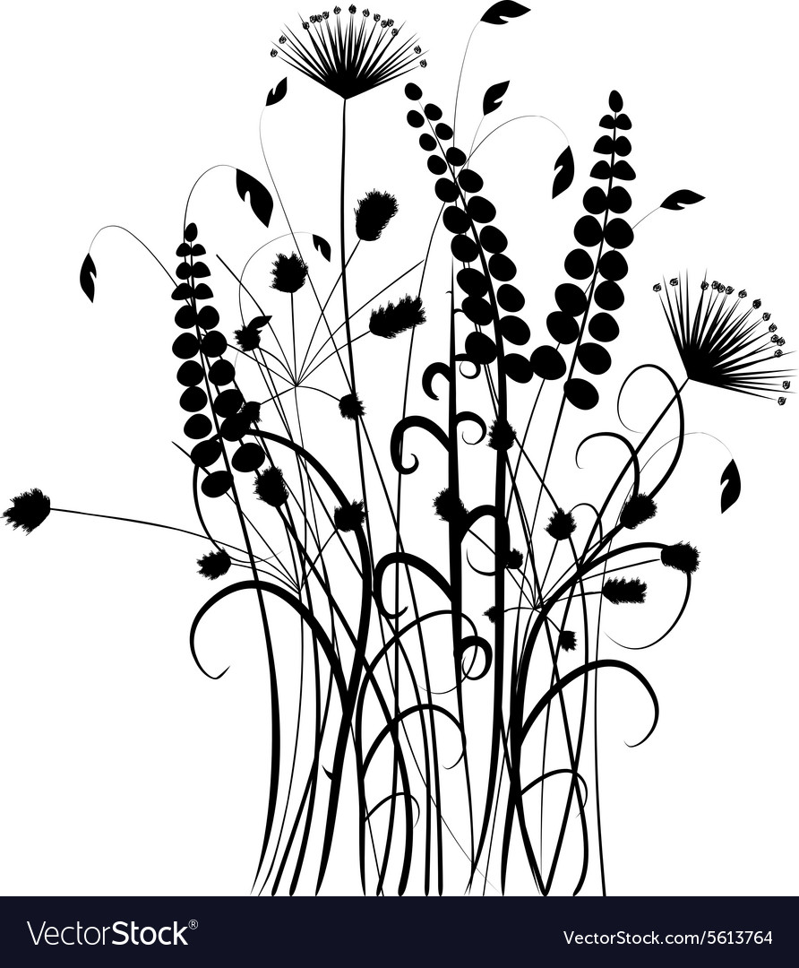 Black And White Wild Plant Silhouettes Royalty Free Vector