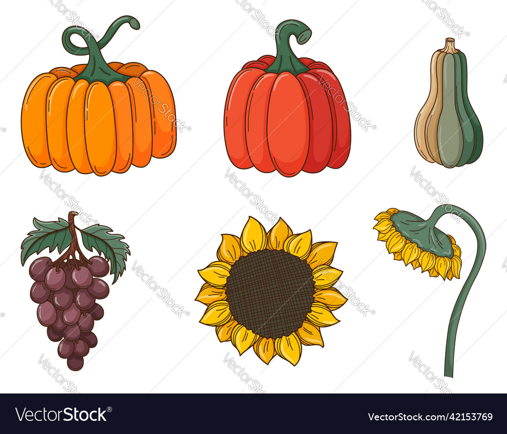 A set of colored doodles different pumpkins