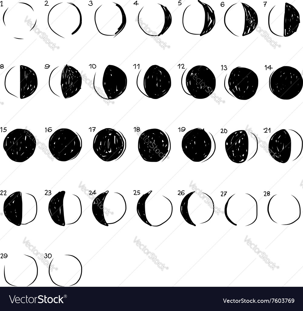 Phases of the Moon sketch for your design Vector Image