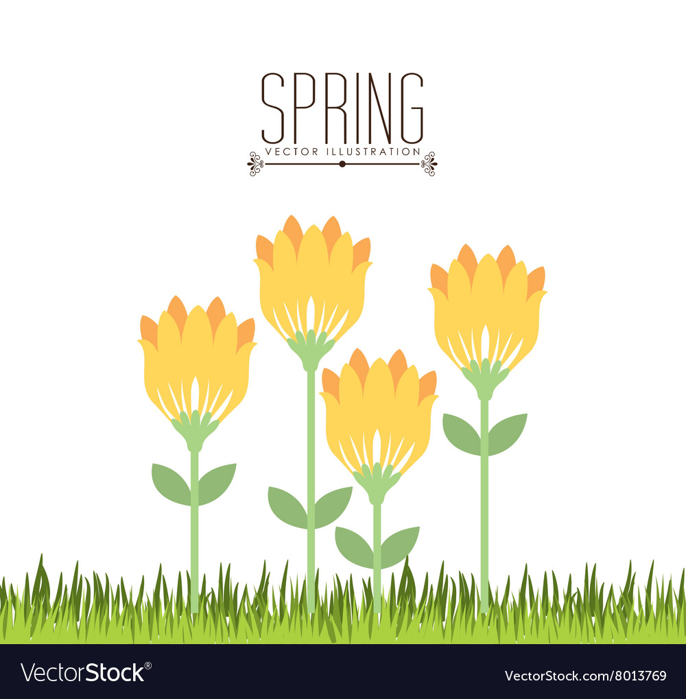 Spring season design Royalty Free Vector Image