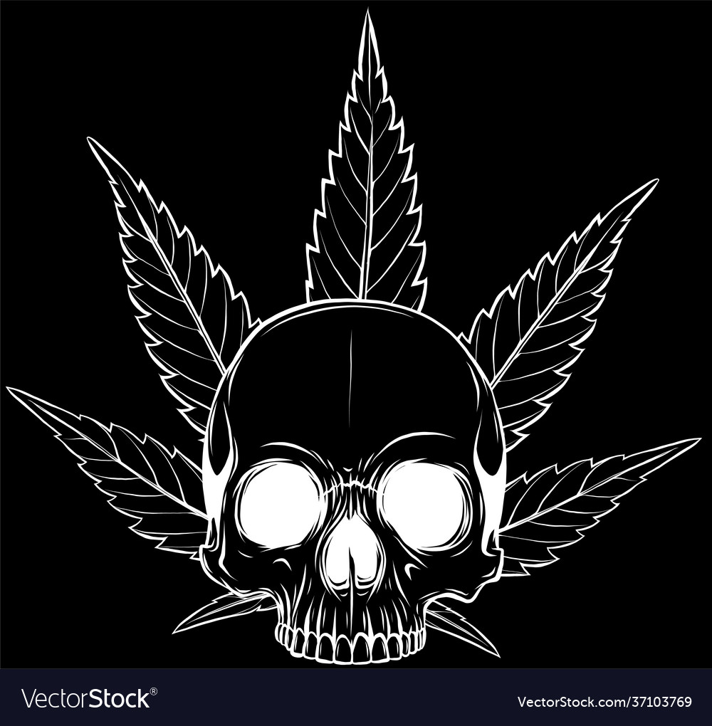 White silhouette skull with leaves marijuana