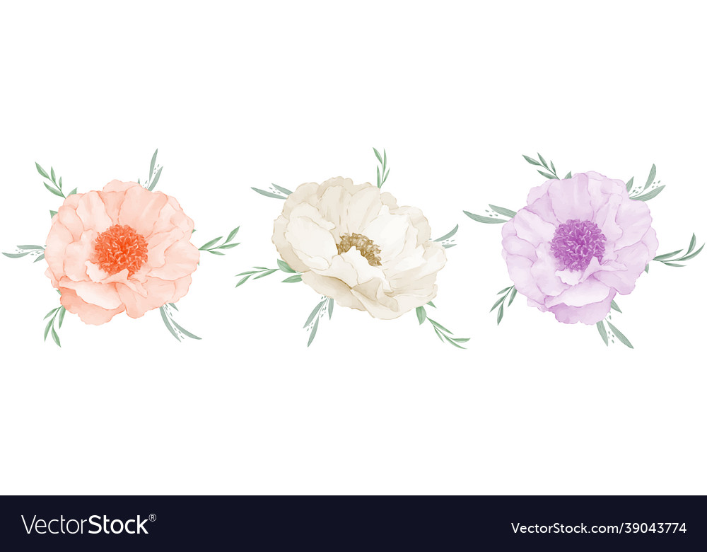 Anemone flower bouquet watercolor set design