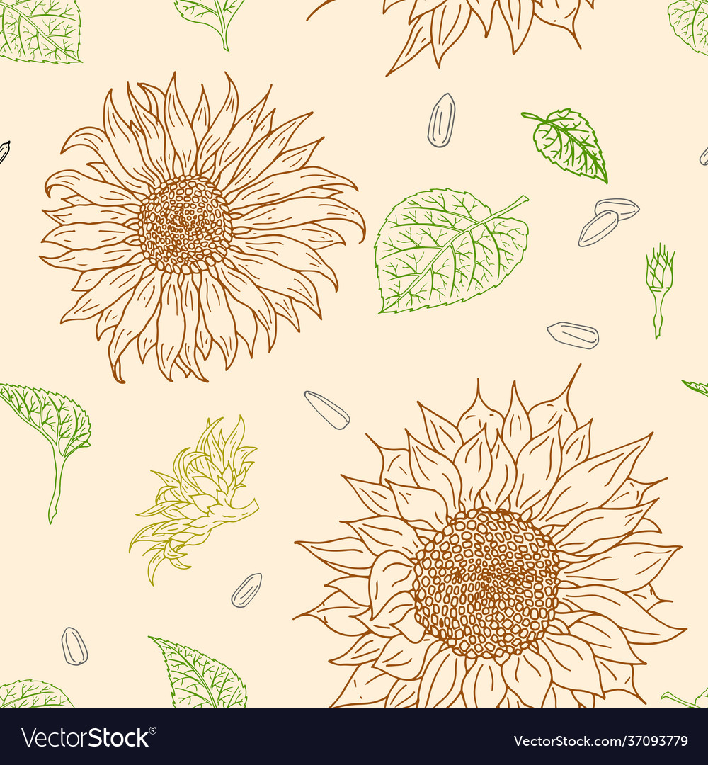 Floral seamless pattern with sunflowers Royalty Free Vector