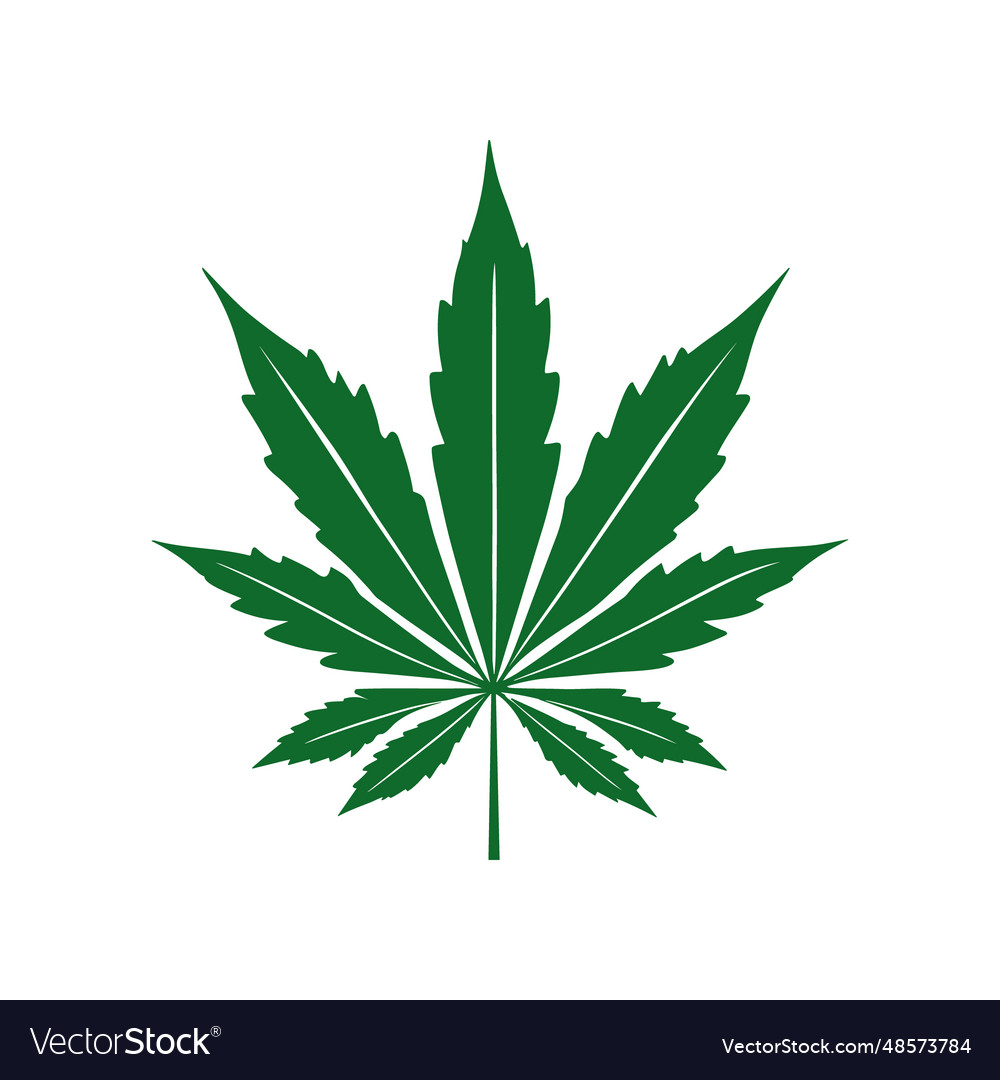 Cannabis logo design marijuana leaf silhouette